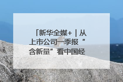 新华全媒+｜从上市公司一季报“含新量”看中国经济发展向“新”