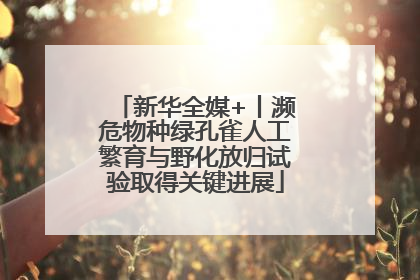 新华全媒+丨濒危物种绿孔雀人工繁育与野化放归试验取得关键进展