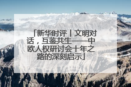 新华时评丨文明对话，互鉴共生——中欧人权研讨会十年之路的深刻启示