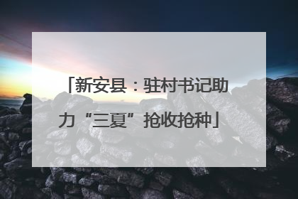 新安县：驻村书记助力“三夏”抢收抢种