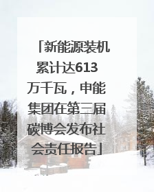 新能源装机累计达613万千瓦，申能集团在第三届碳博会发布社会责任报告
