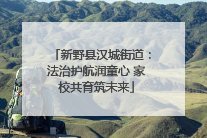 新野县汉城街道：法治护航润童心 家校共育筑未来