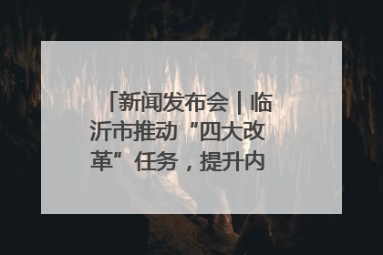 新闻发布会｜临沂市推动“四大改革”任务，提升内部审计监督效能