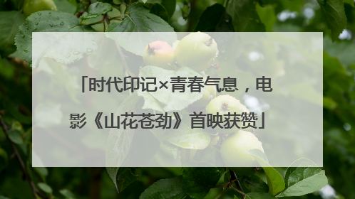 时代印记×青春气息，电影《山花苍劲》首映获赞