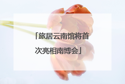 旅居云南馆将首次亮相南博会