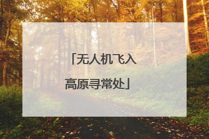 无人机飞入高原寻常处