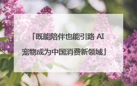 既能陪伴也能引路 AI宠物成为中国消费新领域