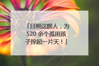 日照这群人，为 520 余个孤困孩子撑起一片天！