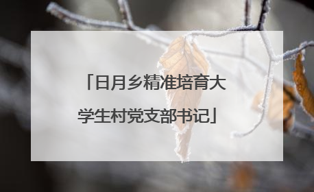 日月乡精准培育大学生村党支部书记