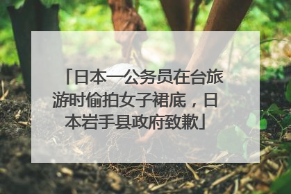 日本一公务员在台旅游时偷拍女子裙底，日本岩手县政府致歉