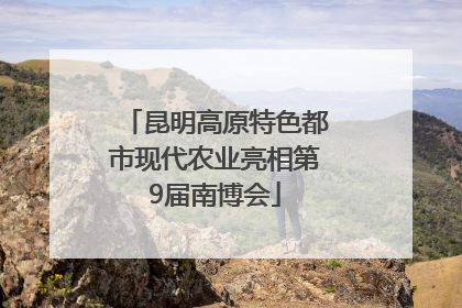 昆明高原特色都市现代农业亮相第9届南博会