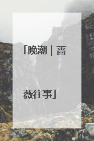 晚潮｜蔷薇往事