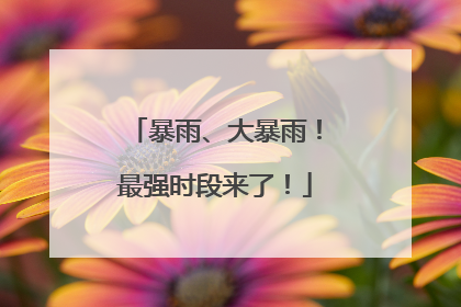 暴雨、大暴雨！最强时段来了！