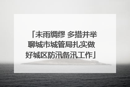 未雨绸缪 多措并举 聊城市城管局扎实做好城区防汛备汛工作