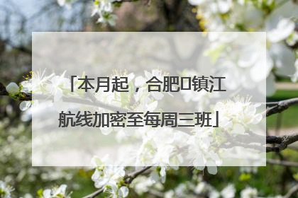 本月起，合肥⇋镇江航线加密至每周三班