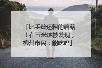 比手臂还粗的蘑菇！在玉米地被发现，柳州市民：能吃吗