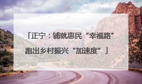 正宁：铺就惠民“幸福路”跑出乡村振兴“加速度”