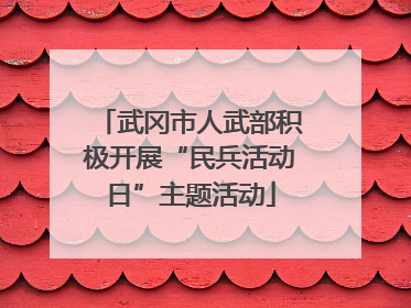 武冈市人武部积极开展“民兵活动日”主题活动