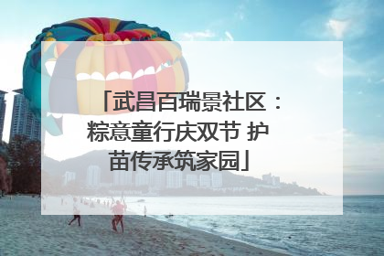 武昌百瑞景社区：粽意童行庆双节 护苗传承筑家园