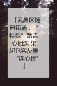 武昌区杨园街道：“特殊”踏青心相连 架起包容友爱“连心桥”
