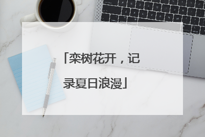 栾树花开，记录夏日浪漫