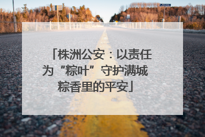 株洲公安：以责任为“粽叶”守护满城粽香里的平安