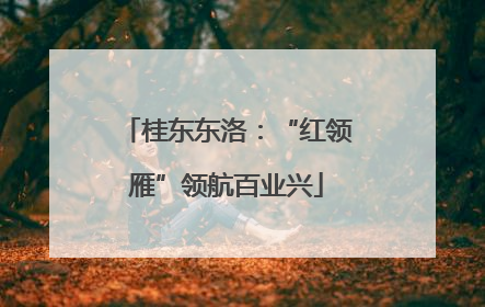 桂东东洛：“红领雁”领航百业兴