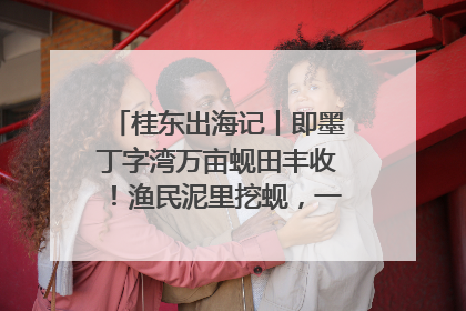 桂东出海记丨即墨丁字湾万亩蚬田丰收！渔民泥里挖蚬，一天上岸过千斤