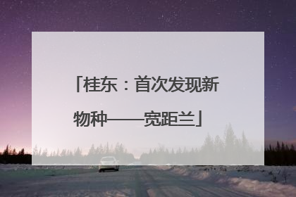 桂东：首次发现新物种——宽距兰