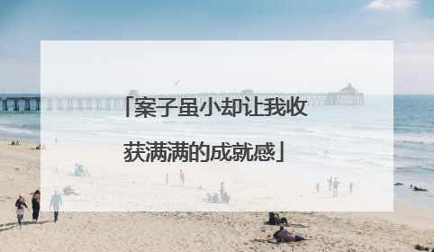 案子虽小却让我收获满满的成就感