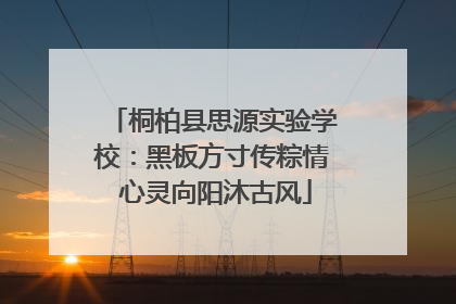桐柏县思源实验学校：黑板方寸传粽情 心灵向阳沐古风