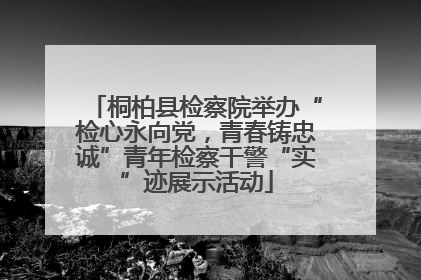 桐柏县检察院举办“检心永向党，青春铸忠诚”青年检察干警“实”迹展示活动