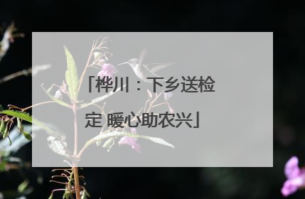 桦川：下乡送检定 暖心助农兴