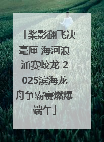 桨影翻飞决毫厘 海河浪涌赛蛟龙 2025滨海龙舟争霸赛燃爆端午