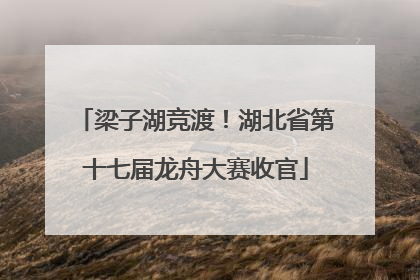 梁子湖竞渡！湖北省第十七届龙舟大赛收官