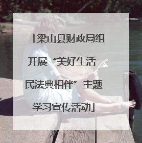 梁山县财政局组开展“美好生活 民法典相伴”主题学习宣传活动