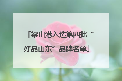 梁山港入选第四批“好品山东”品牌名单
