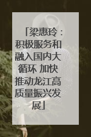 梁惠玲：积极服务和融入国内大循环 加快推动龙江高质量振兴发展