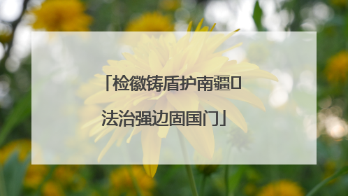检徽铸盾护南疆 法治强边固国门