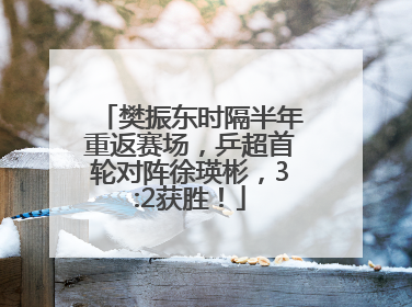 樊振东时隔半年重返赛场，乒超首轮对阵徐瑛彬，3:2获胜！