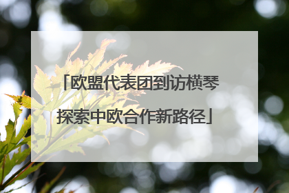 欧盟代表团到访横琴 探索中欧合作新路径