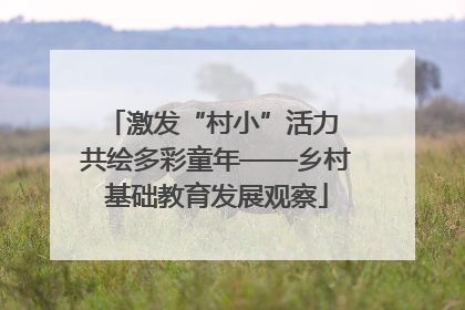 激发“村小”活力 共绘多彩童年——乡村基础教育发展观察