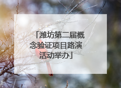 潍坊第二届概念验证项目路演活动举办