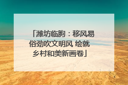 潍坊临朐：移风易俗劲吹文明风 绘就乡村和美新画卷