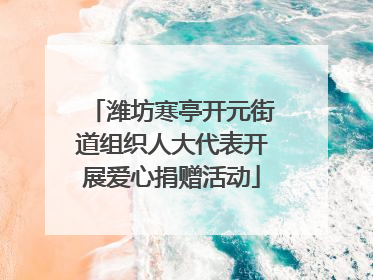 潍坊寒亭开元街道组织人大代表开展爱心捐赠活动
