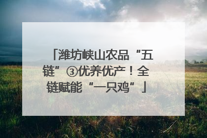 潍坊峡山农品“五链”③优养优产！全链赋能“一只鸡”