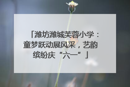 潍坊潍城芙蓉小学：童梦跃动展风采，艺韵缤纷庆“六一”