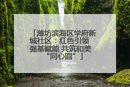 潍坊滨海区学府新城社区：红色引领 强基赋能 共筑和美“同心圆”