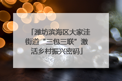 潍坊滨海区大家洼街道“三包三联”激活乡村振兴密码