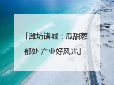 潍坊诸城：瓜甜葱郁处 产业好风光